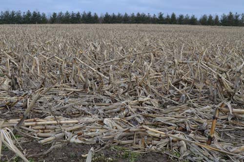 Property photo 79 - 98+/- Acres Offered in 6 Tracts or Combinations, Noble County, Indiana Farm